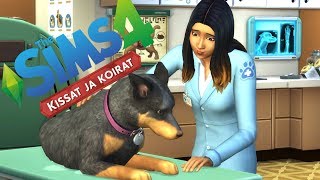 THE SIMS 4 KISSAT JA KOIRAT