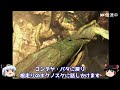 【ff9】最強の召喚士エーコが誰も見たことがない究極のデータを目指します（第18話～最強エーコ加入）