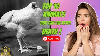 Top 10 ANIMALS That Can LIVE After DEATH