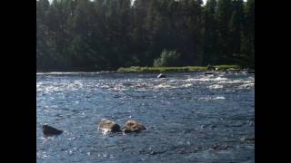 Kanutour auf dem Ivalojoki, Nordfinnland