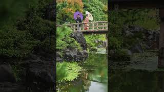 今最もご予約が取り辛い東海・中部地方を代表する「白鳥庭園」🪿