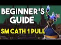 SM Cath 1 Pull Beginner's Guide | Avoid Wipes with Safe Spot | WoW Classic