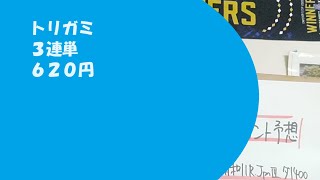 【地方競馬予想】オーバルスプリント Jpn3（9月20日浦和11R）予想