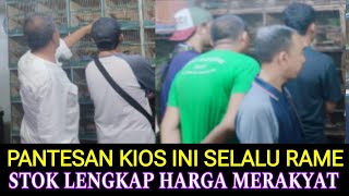 PANTESAN SELALU RAMAI PEMBELI KIOS INI STOKNYA LENGKAP HARGA MERAKYAT PASAR BURUNG PRAMUKA HARI INI