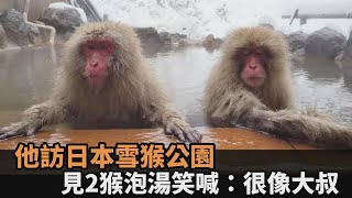 有夠萌！他遊日本雪猴公園　見「2猴泡溫泉」笑翻：很像大叔－全民話燒