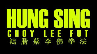 Sparring:  Hung Sing Choy Lee Fut