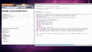 merihelp:Web scripting - coding forms