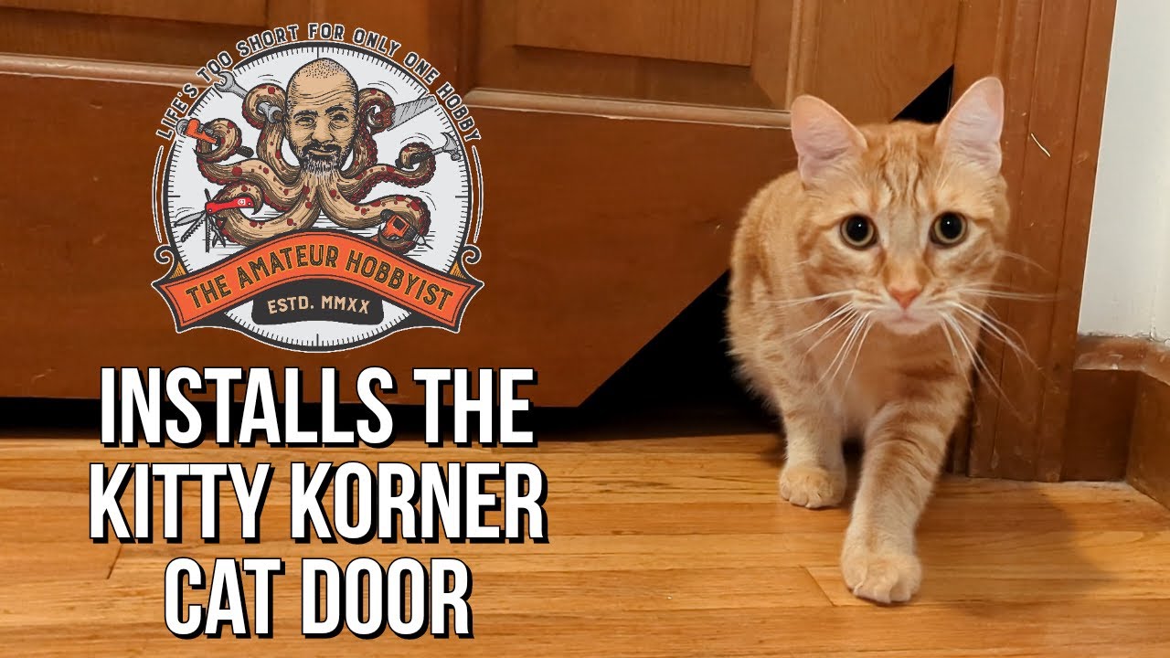 Cutting Corners For My Cat Installing The Kitty Korner Cat Door Youtube