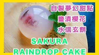 如何製作夢幻甜點-鹽漬櫻花 水信玄餅 How to make Sakura raindrop cake (salted cherry blossoms)