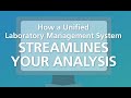 How a Unified Laboratory Management System Streamlines Your Analysis