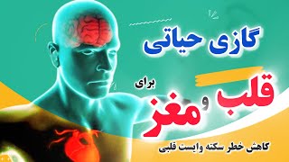 نیتریک اکساید گازی حیاتی برای سلامت قلب ومغز | ۲ روش مهم واساسی برای تولید این گاز در بدن