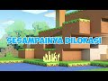 momon kecelakaan dan mengalami tulang kaki patah feat @sapipurba minecraft