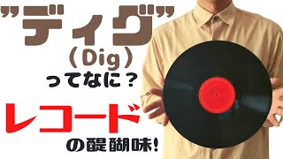 【アナログレコード】レコードディグってなに？レコードの買い方