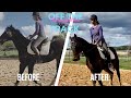 HOW TO GET YOUR HORSE ON THE BIT AND IN A NICE OUTLINE - #ottb #ottbretraining #ottbsuccessacademy