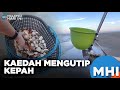 Kaedah Mengutip Kepah | MHI (6  November 2023)