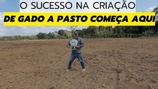 MUITO SIMPLES - PROJETO 2 HECTARES - PLANTANDO CAPIM