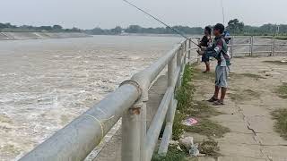 MANCING IKAN PATIN TERBESAR DI BENDUNGAN GERAK BOJONEGORO 2024