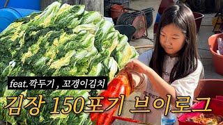 일상vlog | 본격적인 김장 | 자급자족 김장하기 | 150포기 적당하지...??