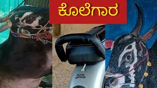 hori habba kolegara /ತಡಸನಹಳ್ಳಿ ಕೊಲೆಗಾರ ಹೋರಿ ಹಬ್ಬ