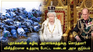 புறாக்களின் கழிவு அரசாங்கத்துக்கு சொந்தமா? விசித்திரமான உத்தரவு போட்ட லண்டன் அரச குடும்பம்