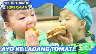 Ayo Ke Ladang Tomat! |Nostalgia Superman|SUB INDO/ENG|151114 Siaran KBS WORLD TV|