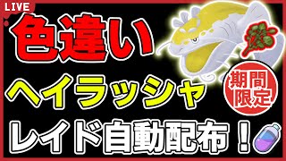 【にがスパを添えて】色違いヘイラッシャレイド自動配布！【ポケモンSV】#17