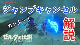 【裏技】素早くアイテム回収できる！「ジャンプキャンセル」解説！！【ゼルダの伝説 Breath of the Wild】