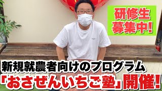 【いちご栽培】「おさぜんいちご塾」開催します！【新規就農】