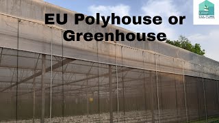 EU Polyhouse or Greenhouse @dripculture | Hydroponic cultivation |