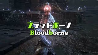 #48【Bloodborne/ブラッドボーン】初見/Noob's Playthrough《トゥメル＝イルの大聖杯/Great Pthumeru Ihyll Chalice》