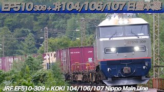 EF510-309 + コキ104/106/107　日豊本線　/　JRF EF510-309 towed koki 104/106/107 on the  Nippo Main Line