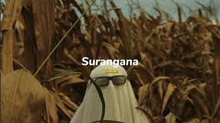 ඒ සුරංගනා - Surangana (slowed and reverb) @Dula_x_vibez #slowedandreverb #slowedreverbsongs