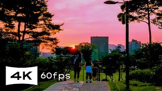 Walking in Seoul, Korea · Namsan Park, Baekbeom Square · Sunset · Ambience · 4K 60fps