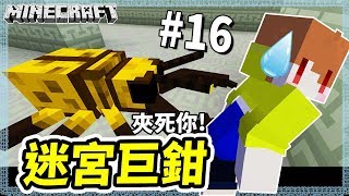 Minecraft 異世界考古生存#16 屁股小心!! 牛頭人迷宮與巨鉗蟲!【茶杯模組生存】