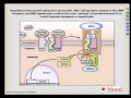 Hepcidin- the Most Important Hormone You Don't Know About 5/27/15