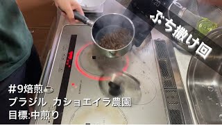 【#9焙煎Vlog】🇧🇷ブラジル カショエイラ農園 パルプドナチュラル 中煎り