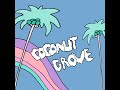 coconut grove original mix