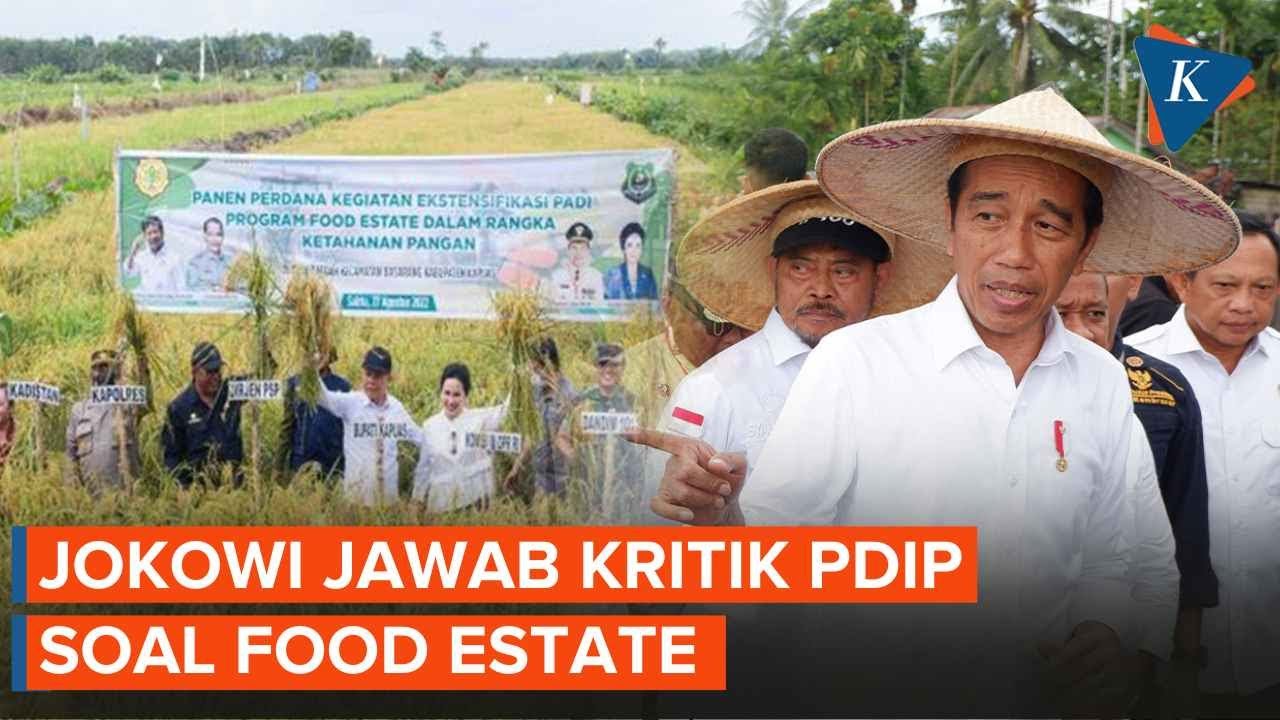 Jokowi Bela Prabowo Atas Kritik PDI-P Soal Food Estate - YouTube