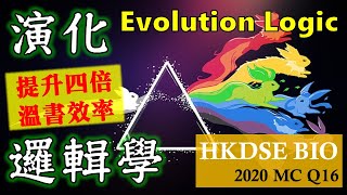 提升四倍溫書功效 │ DSE Bio │ HKDSE 2020 MC Q16 │ evolution logic 演化論邏輯之鬼  │ Faith Education {雙語Bilingual}