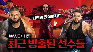 WWE에서 방출된 11명의 선수들 총 정리! 가장 아쉬운 선수는?