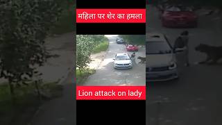 lion attack on lady #lion #shortsfeed #youtubeshorts #shorts