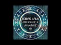 tobias laun spaceship original mix tzh209