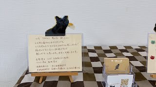 保護ねこの家の月ちゃんが第73回にゃんクルー譲渡会でついにエントリー入りました！