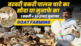 बरबरी नस्ल में बकरी पालन की फुल जानकारी | Akeel Barbari Goat Farm Mathura