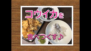 【料理編】コウイカで3品の料理を作ってみた。