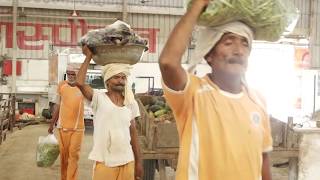 LIFE OF COW  IN GAU SEVA DHAM HOSPITYAL  (Animal Hospital)