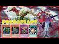 مجموعه البريدابلانت ( Predaplant )مع اقوى مهاره فى تاريخ لعبه يوغى يو دول لينكس Yu-Gi-Oh! Duel Links