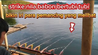 Bikin iri para pemancing strike nila babon bertubi tubi || mancing jatiluhur terbaru!!!