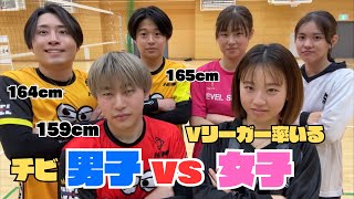 【バレー】Vリーガー率いる女子vs男子（165cm以下）で対決したらどっちが強い？