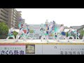 4k 碧煽　うらじゃ 2019　下石井公園演舞場